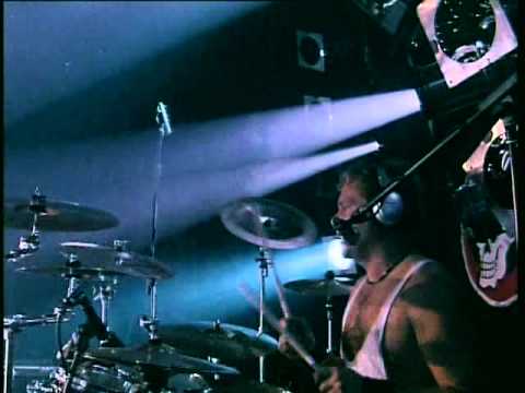 De-Bill-Heads-- Ryba se má