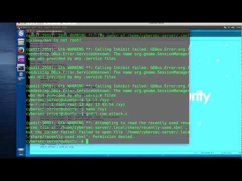 Cyber Security Lab 5 (Week-6) Dirty COW Attack