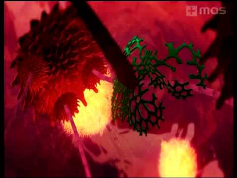 Videoclip de Sun to Me — Faithless