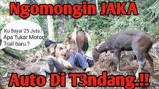 Download lagu Ngomongin JAKA, Rusa Jantan Malah Merajuk🤦♂️🤦♂️ mp3 Download lagu Ngomongin JAKA, Rusa Jantan Malah Merajuk🤦♂️🤦♂️ mp3
