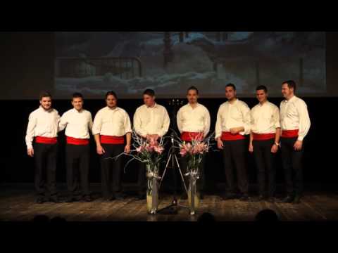 Smotra klapa Samobor 2016.- Klapa Slavić