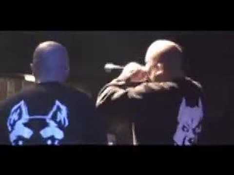 Toni der Assi Massiv Konzert