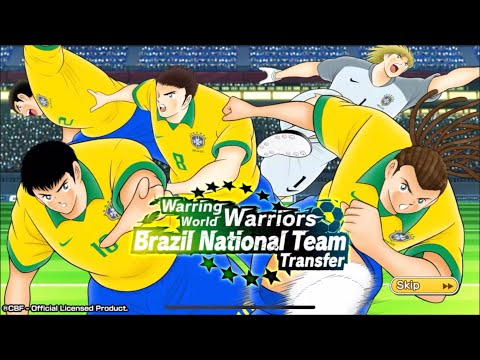 BRASILIAN STEP BANNER