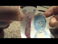 The Backyardigans S1 Ep5 Secret Mission