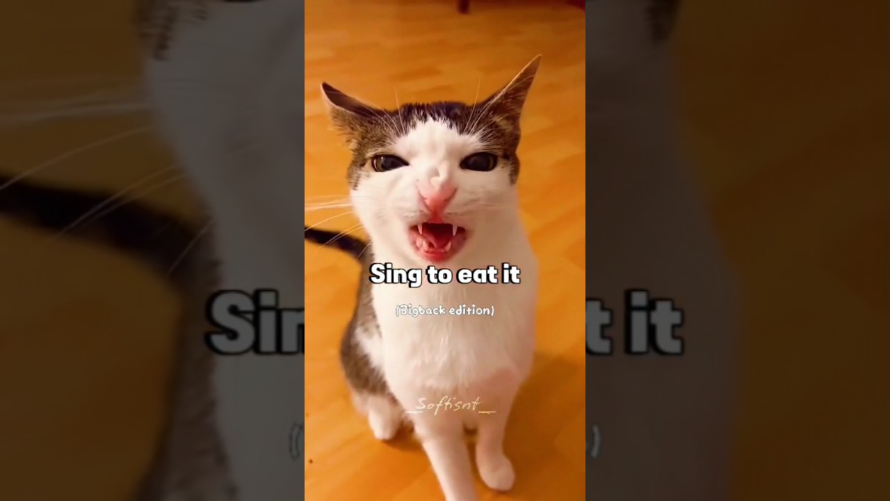 Sing to eat itt! #edit #music #asethicedits #viral #fy #fypage #cat