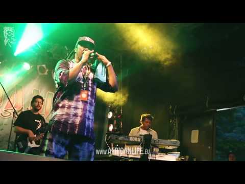 Vido Jelashe @ Reggae Jam 2014, 01.-03.08. Bersenbrück