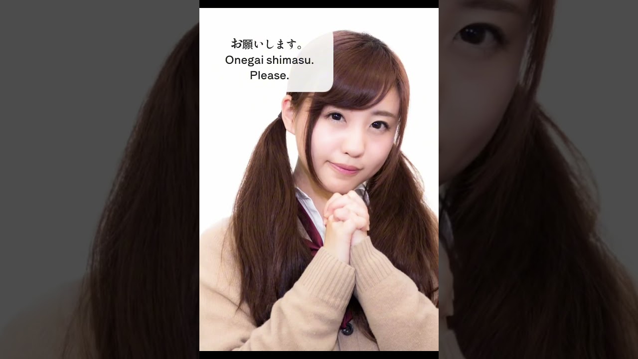 3 Useful Japanese Lesson🇯🇵