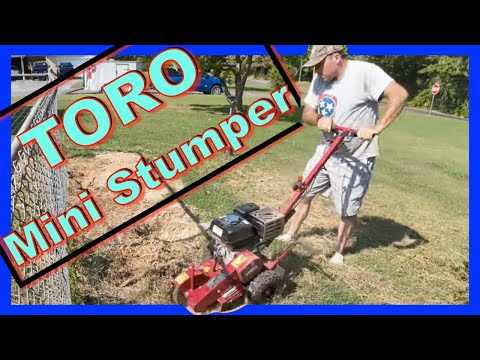 I rented a MINI Toro stump grinder from Home Depot