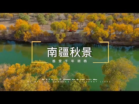 探访南疆四大胡杨林秘境｜金秋南疆旅游攻略