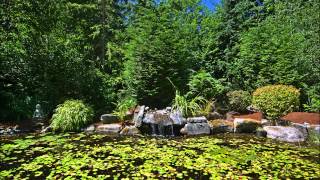 preview picture of video 'Bainbridge Island, Washington, USA'