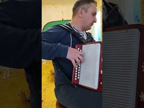 Расцвела под окошком белоснежная вишня#shorts