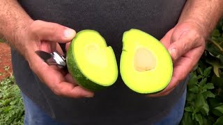 Miniatura do vídeo