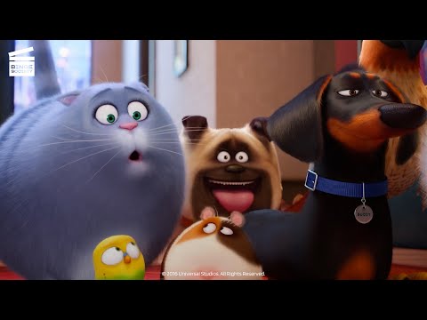 The Secret Life of Pets: Pops’ Place (HD CLIP)