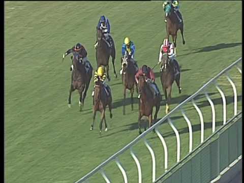 Galoppo 31/05/2017 - 6ª corsa