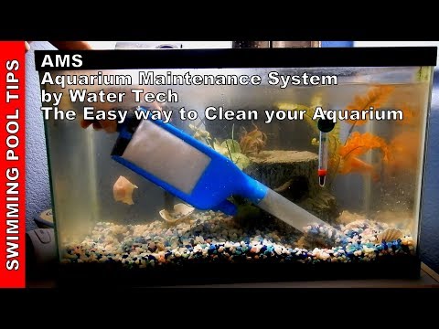 AMS Aquarium Maintenance System by Water Tech: Clean your Aquarium the Easy Way!