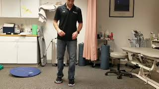 Lunge Series Exercise