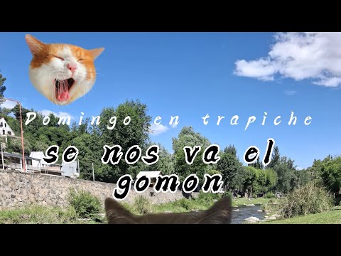 Persiguiendo el Gomon, Domingo en  el Trapiche ! Despues de la lluvia del sábado #foryou #live #you 