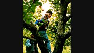 Forbidden Fruit -Cover of song by The Band.wmv