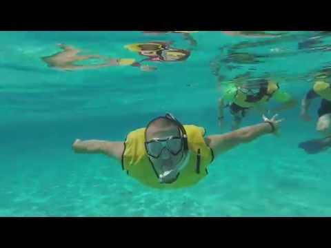 Snorkeling - Columbia and Palancar Reef in Cozumel, Mexico