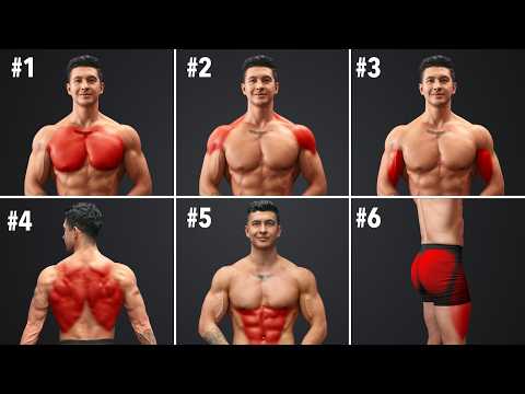 The #1 Full Body Workout to Build Muscle & Lose Fat (2026)