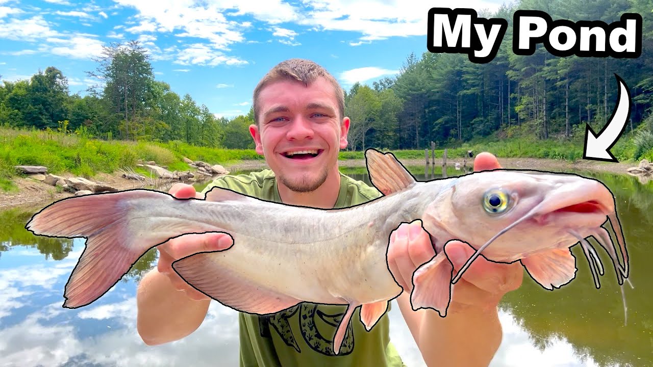 Catching Catfish to Stock My Pond!