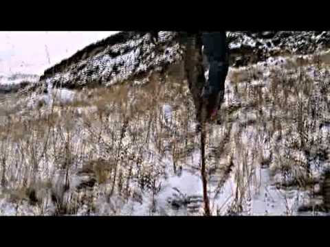 DARIUSH SAM   JADE  BARFI