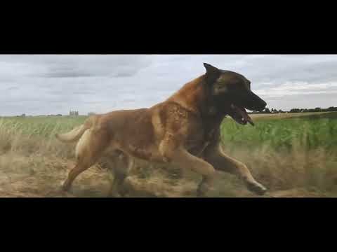 Teorem - Rien (Lyrics Video) © TEOREM 