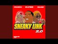 Sneaky Link 2 0