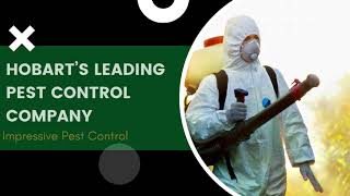 Hobart’s Leading Pest Control Company | Get Rid of Pests | Impressive Pest Control