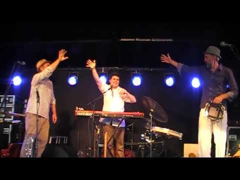 Ale Möller Trio @ Jazzens Museum (2013)