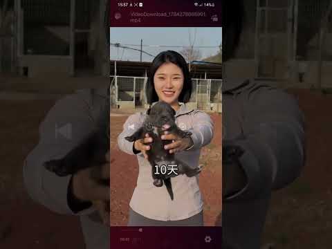 Video Downloader - HD Player video thumbnail