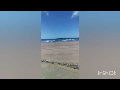 جولة في شاطئ