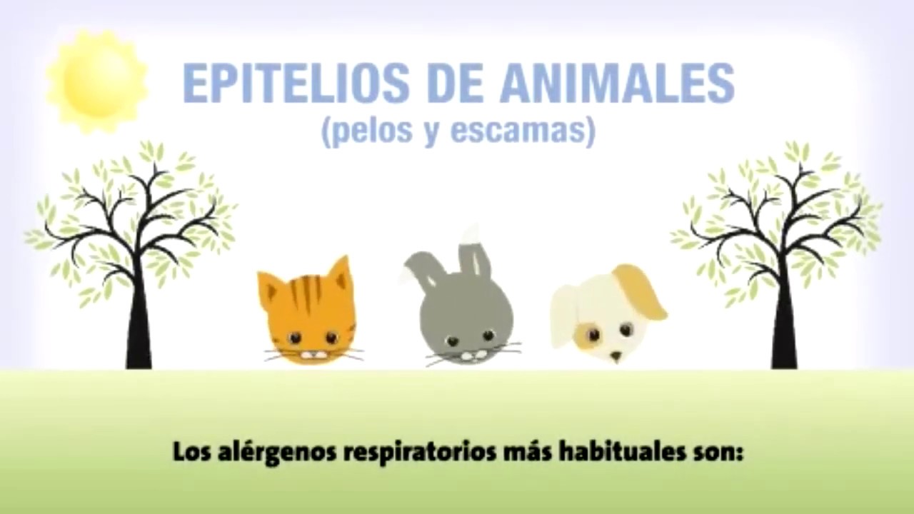 Adriana Cruz Calderon-5