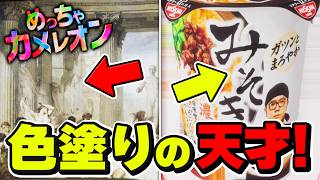 【※隠れています】プロになりすぎて見つからない『めっちゃカメレオン』