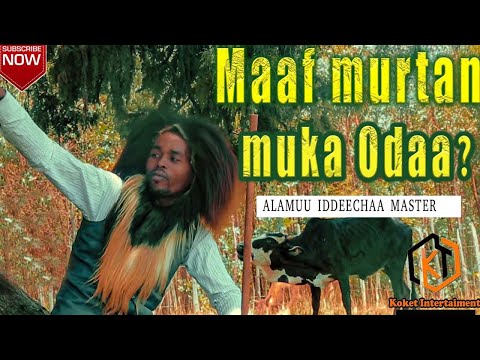 Alamuu Iddeechaa - Maaf MurtanMuka Odaa? / New Ethiopian Oromo music 2021 (Official video)