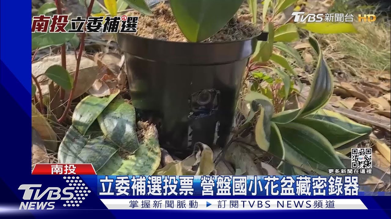 立委補選投票 營盤國小花盆藏密錄器