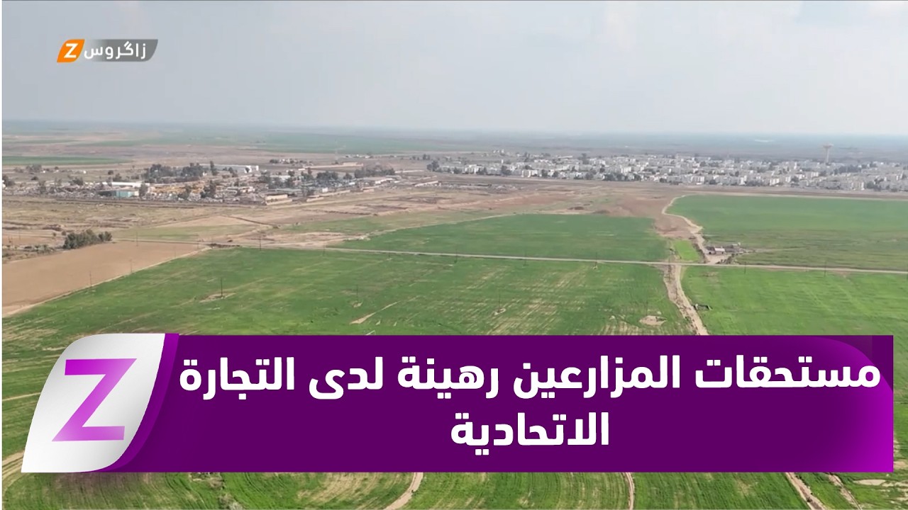 فيديو | تقرير صلاح الدين