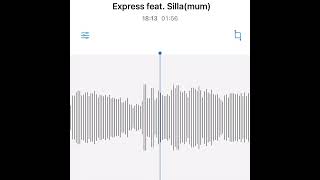 #駄菓子cOver型 - Express Feat. Silla (múm) / HIDETAKE TAKAYAMA