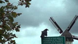 preview picture of video 'Do not park here! Skerries windmill Ireland'