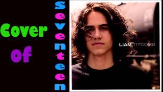 Cover of Seventeen by Liam Titcomb