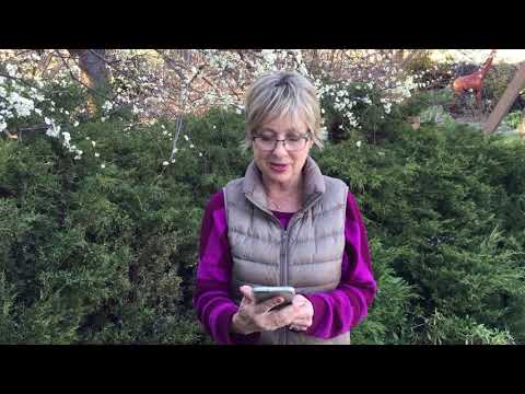 GPNN Episode BBC Bans Single Use Plastics by 2020