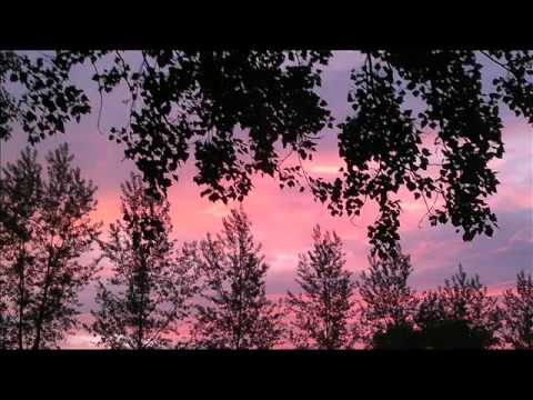 dj tiesto feat charlotte martin - sweet things