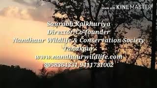 preview picture of video 'Nandhour Wild Life Sanctuary Tanakpur'