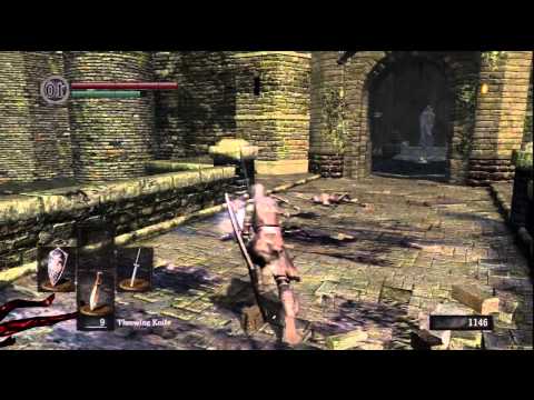 Run Past The Bridge Wyvern