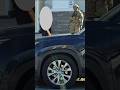 Immigration Agents Spotted In Raleigh Cary And Durham NC