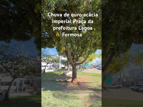 Praça Dona Filomena Praça da prefeitura Lagoa Formosa MG #natureza #lagoaformosa @JDMNAESTRADA ￼