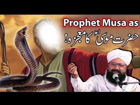 علامہ مولانا حافظ سراج الدین صدیقی