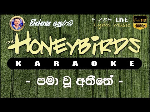 Pama Wu Athithe karaoke (Without Voice) පමා වූ අතීතේකැරෝකේ