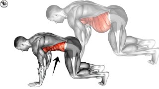 Bellyfat Disappears Magically ➡ Best Home Workout