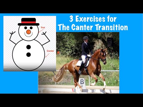 3 Exercises to Improve the Canter Transition